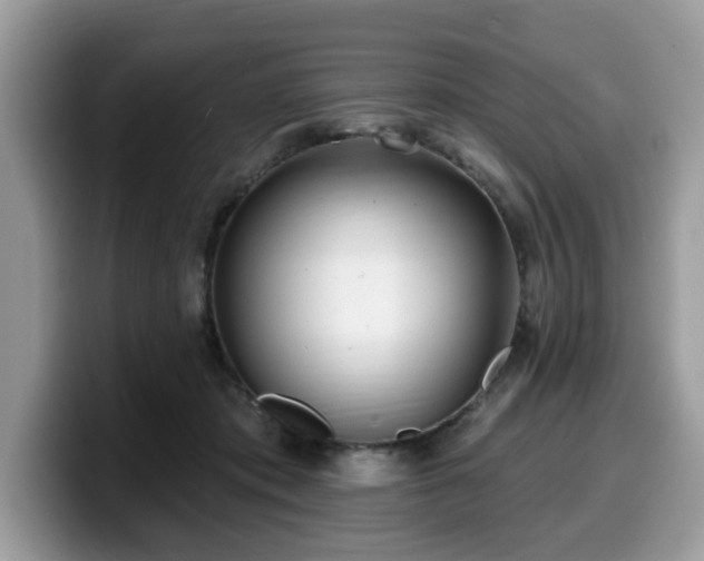 X0000099960413200805301318