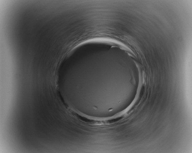 X0000099960415200805301318