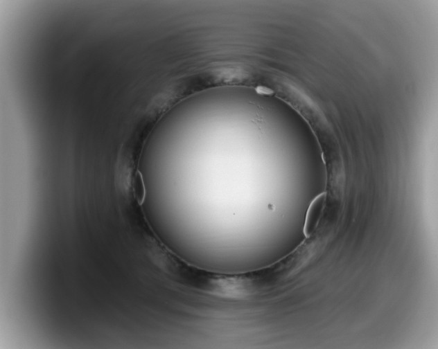 X0000099960417200805301318