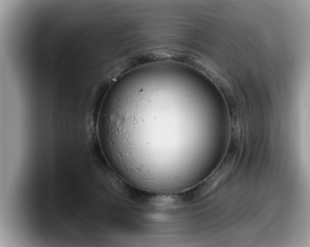 X0000099960418200805301318