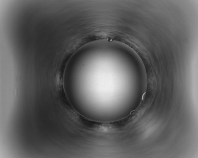 X0000099960420200805301318