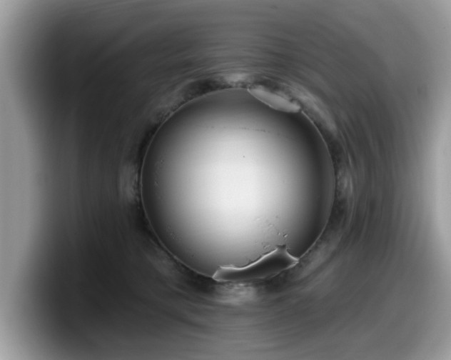 X0000099960421200805301318