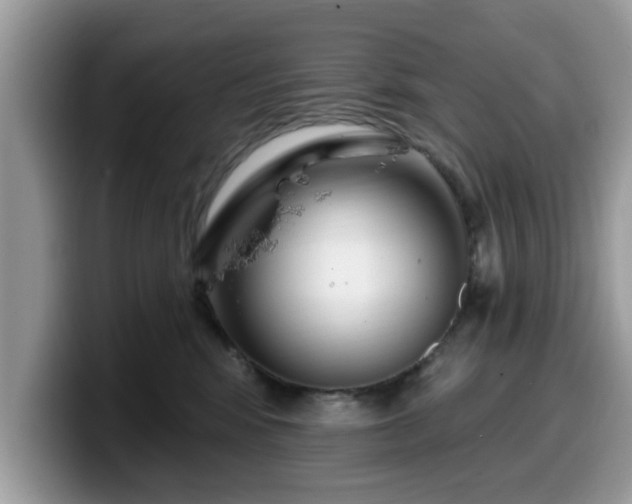 X0000099960424200805301317