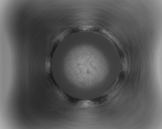 X0000099960427200805301317