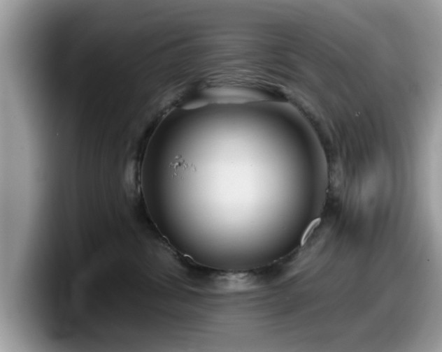 X0000099960428200805301317