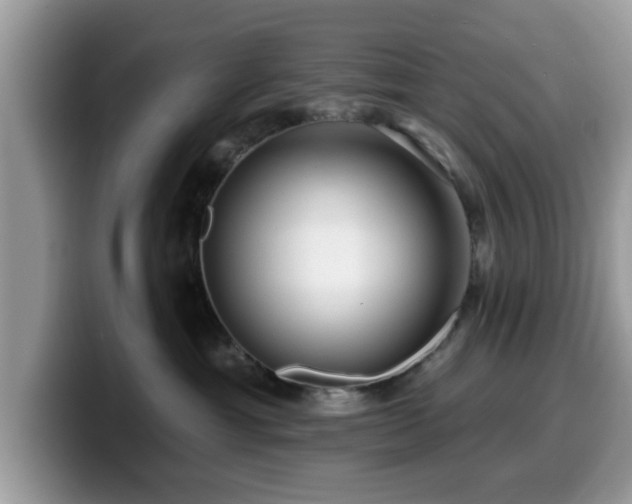X0000099960429200805301317