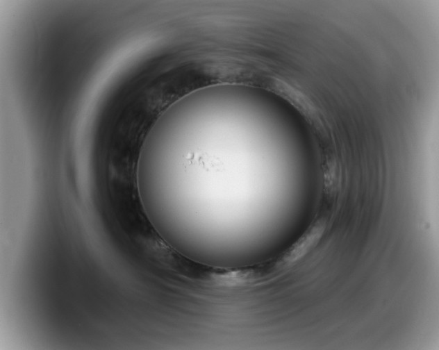 X0000099960430200805301317