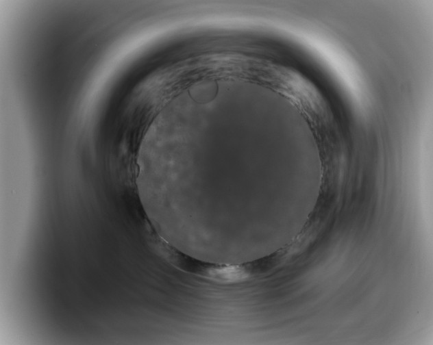 X0000099960431200805301317