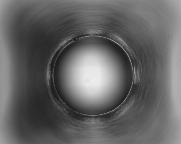 X0000099960435200805301317