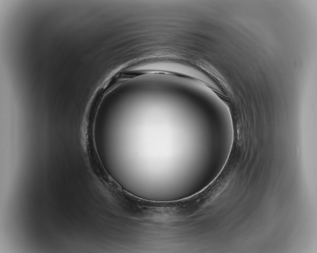X0000099960436200805301317