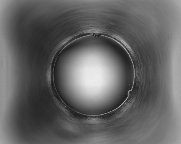 X0000099960437200805301317