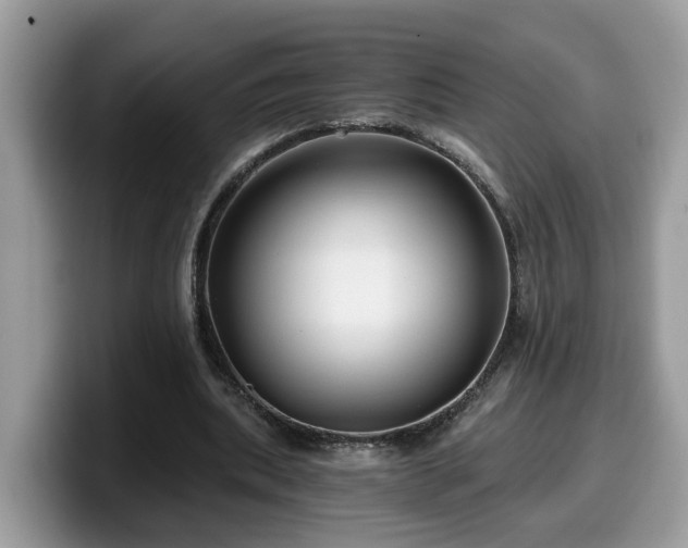 X0000099960439200805301317