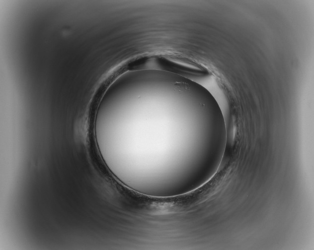 X0000099960440200805301317