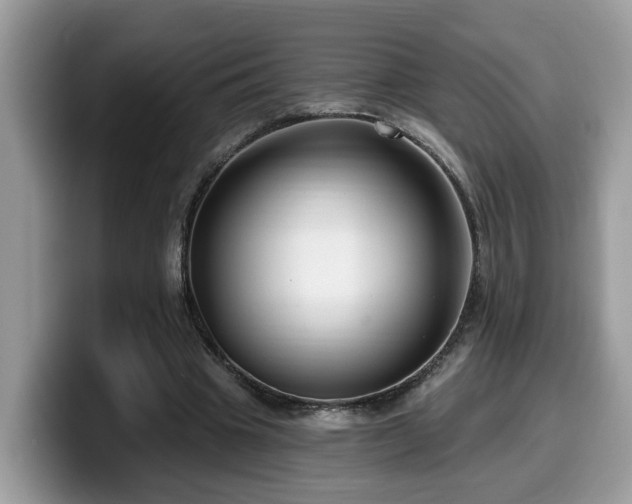X0000099960441200805301317