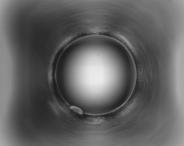 X0000099960443200805301317