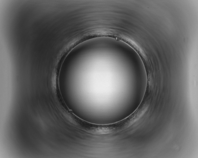 X0000099960445200805301317