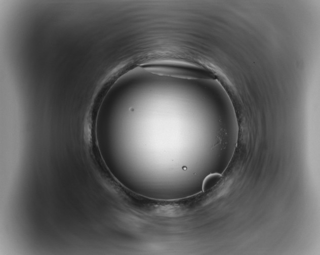 X0000099960446200805301317