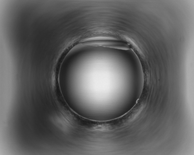 X0000099960447200805301317