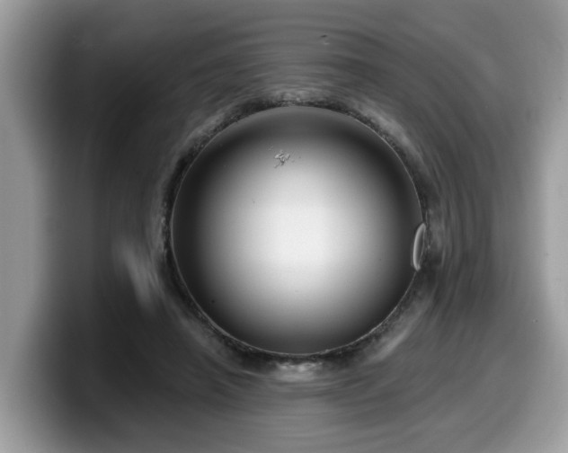 X0000099960450200805301317