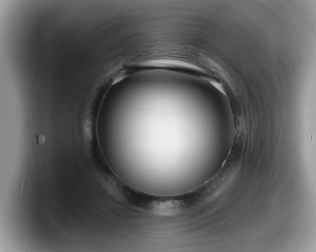 X0000099960452200805301317