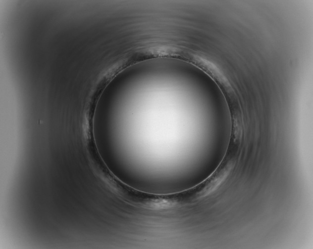 X0000099960453200805301317