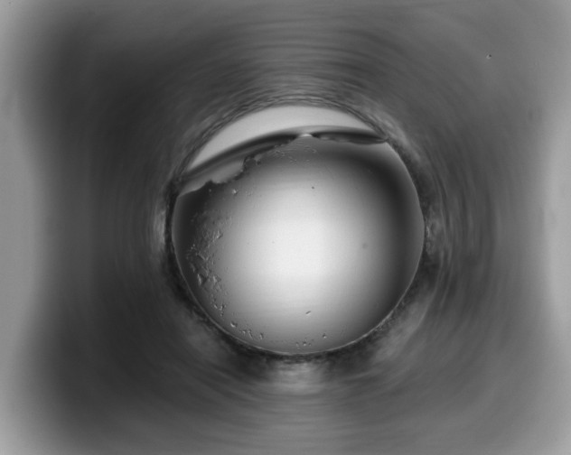 X0000099960454200805301317