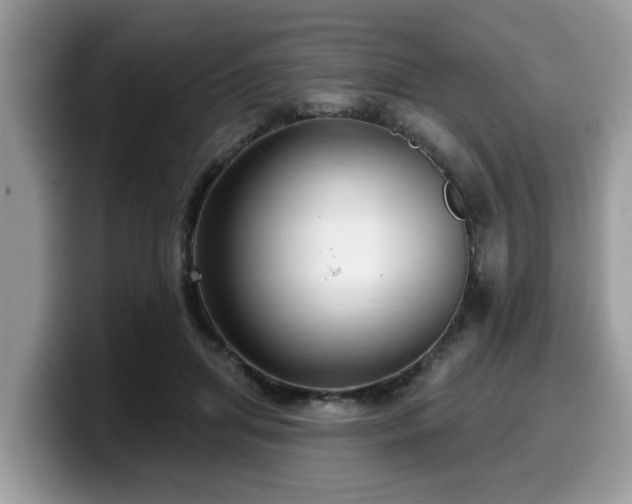 X0000099960455200805301317