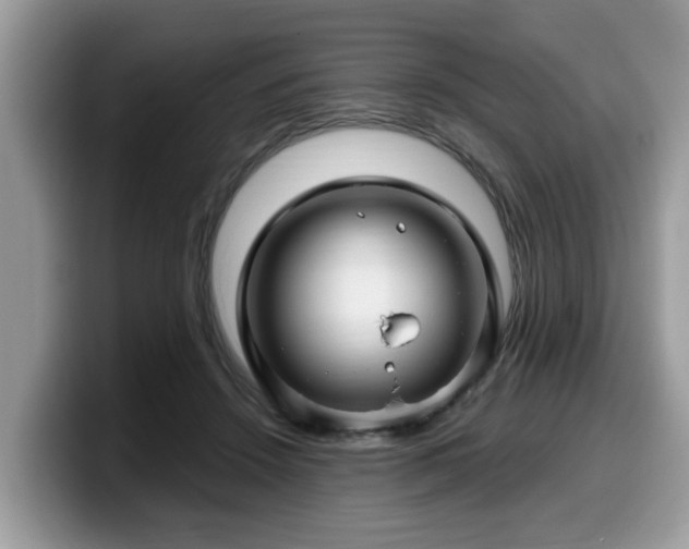 X0000099960456200805301317