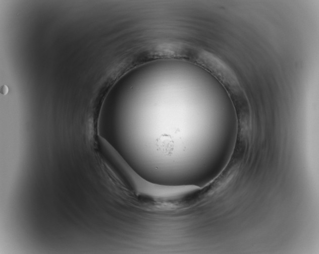 X0000099960457200805301317