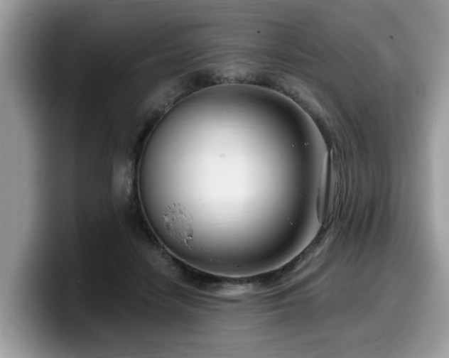 X0000099960458200805301317