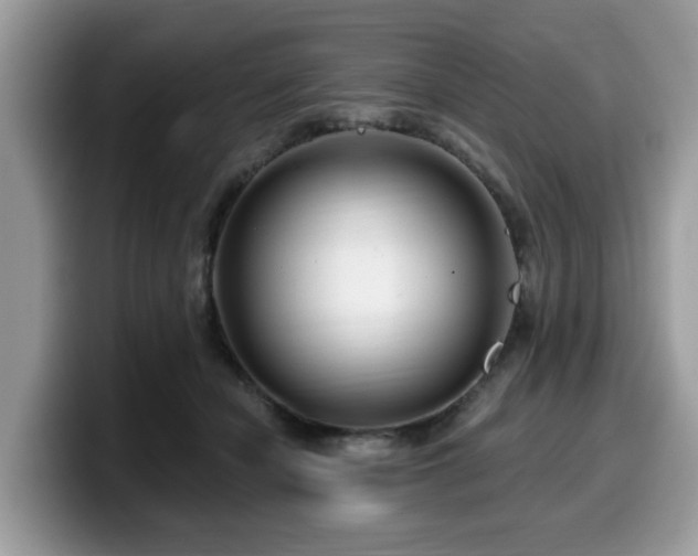 X0000099960462200805301317