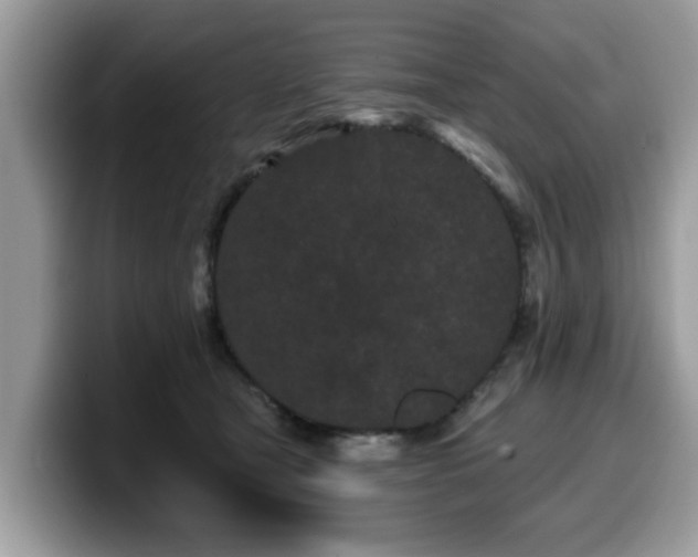 X0000099960465200805301317