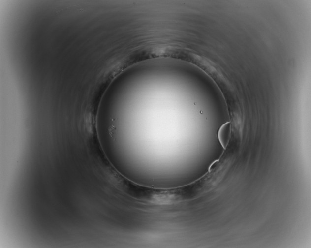 X0000099960470200805301317