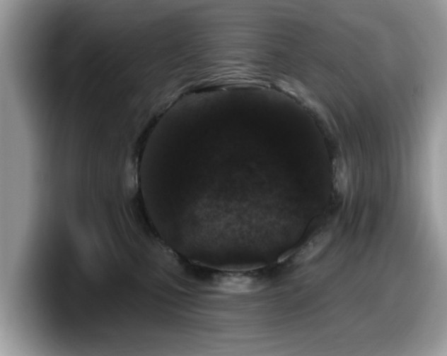 X0000099960471200805301317