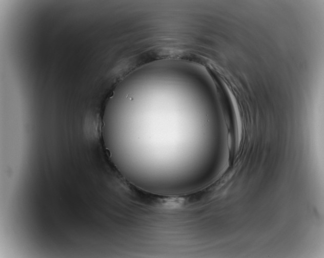 X0000099960474200805301317