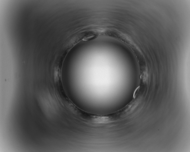X0000099960476200805301317