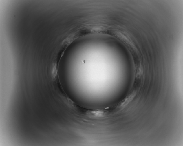 X0000099960478200805301317