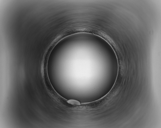 X0000099960482200805301317