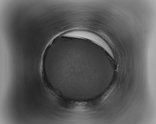 X0000099960484200805301317