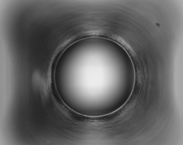 X0000099960486200805301317