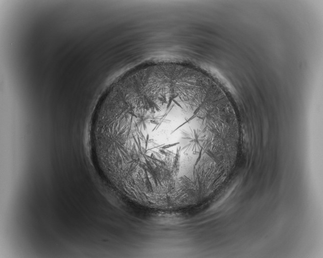 X0000099960487200805301317