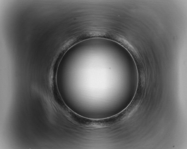 X0000099960490200805301317