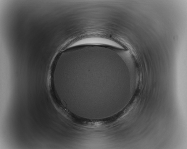 X0000099960492200805301317