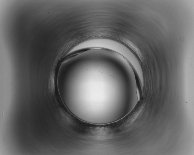X0000099960493200805301317
