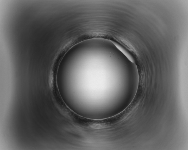 X0000099960494200805301317