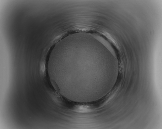 X0000099960500200805301317
