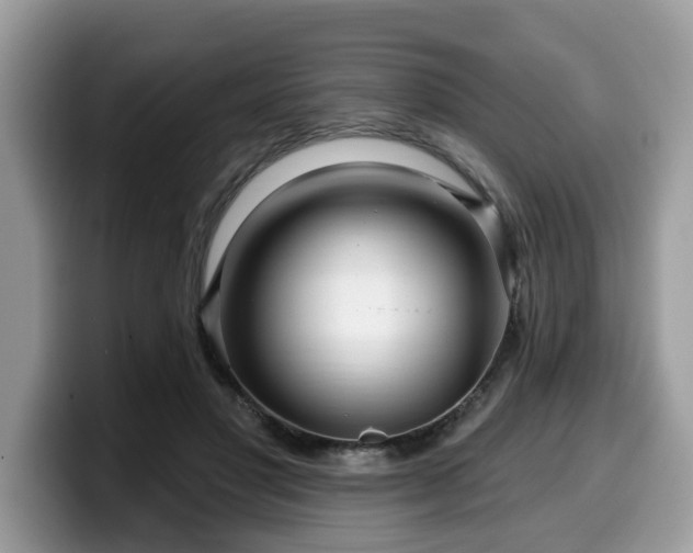 X0000099960501200805301317