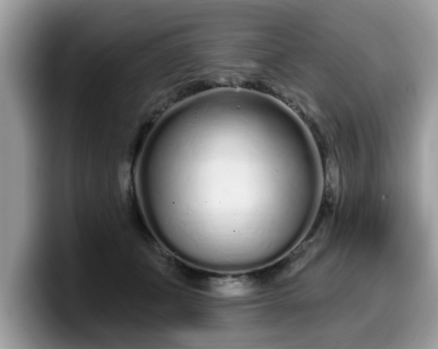 X0000099960511200805301316