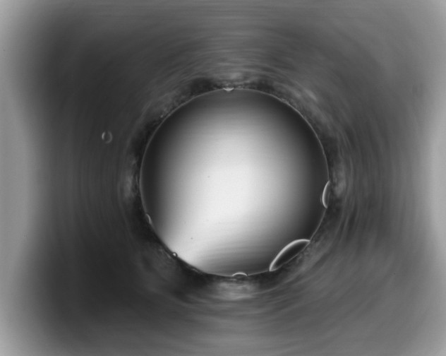 X0000099960515200805301316