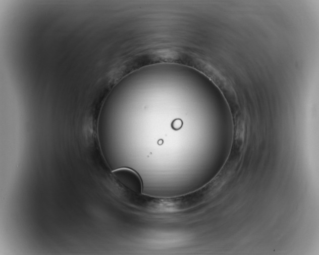 X0000099960518200805301316